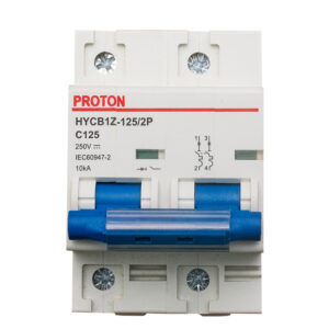 125/2P DC Breaker C125A 250V