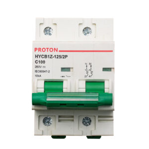 125/2P DC Breaker C100 125V