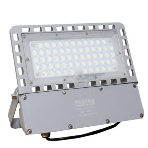 50W Flood Light